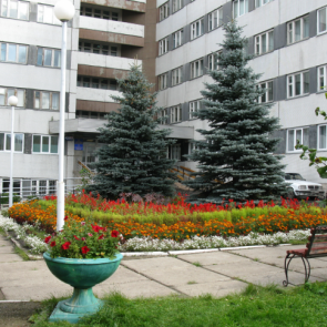 Главврач красноярского госпиталя выпала из окна своего кабинета