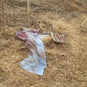 СК опубликовал кадры с места обнаружения тела ребенка в Минусинске и попросили помочь найти его родителей