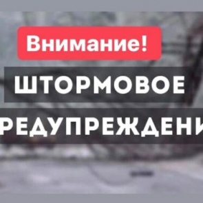 ШТОРМОВОЕ ПРЕДУПРЕЖДЕНИЕ: надвигается сильный порывистый ветер