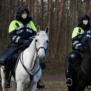 Опубликованы данные по заразившимся коронавирусом на утро 6 мая
