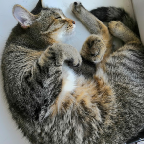 Вы неправильно спите: для чего нам нужен сон, полезно ли спать днем и как понять, что не дышишь во сне