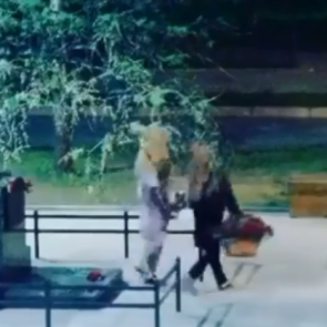 «Поросячий поступок»: девушки под покровом ночи унесли корзины с цветами от памятника ветерану