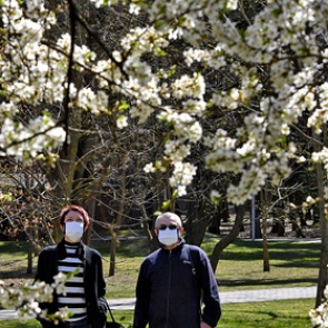 В Белоруссии заявили о выходе на плато по коронавирусу