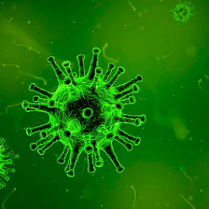 Найдено эффективное лекарство от коронавируса