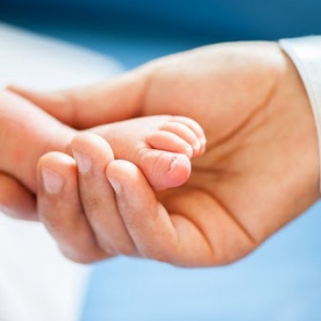 Депутат Законодательного Собрания рассказала, кто и когда получит «президентские» выплаты на детей