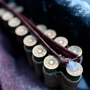 На Украине пьяный охотник застрелил в лесу семь человек