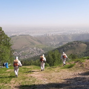 Красноярский «Бобровый лог» обработали от клещей
