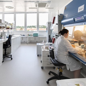 Коронавирус идеально адаптировался к организму человека