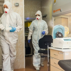 «Существовал задолго до этого»: в Китае назвали ошибочной версию появления коронавируса на продуктовом рынке