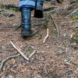 В деле убитой в Шушенском районе школьницы появились новые факты. Год назад ее изнасиловали, а потом угрожали расправой
