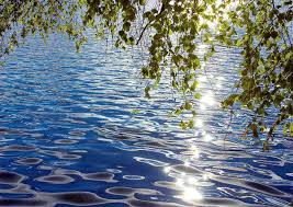 В Ачинске благодаря бдительному рыбаку удалось спасти тонущего мальчика