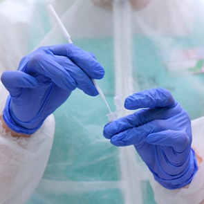 В крае коронавирус нашли еще у 141 человек