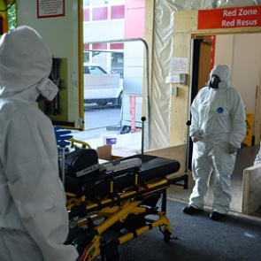 Инфекционист объявил о начале глобальной пандемии коронавируса