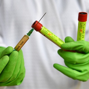 США допустили экспорт вакцины от коронавируса