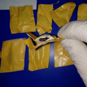 Полиция перекрыла канал поставки наркотиков на юге Красноярского края