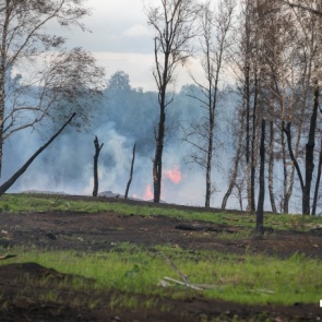 Красноярск попал на третье место в международном рейтинге городов с самым грязным воздухом