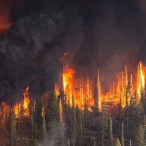 На севере края ввели режим ЧС из-за лесных пожаров. Красноярцев просят не выходить на улицу